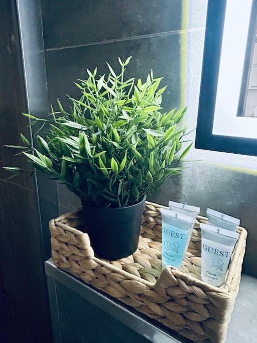 Apartament Stary Szczecin Buitenkant foto