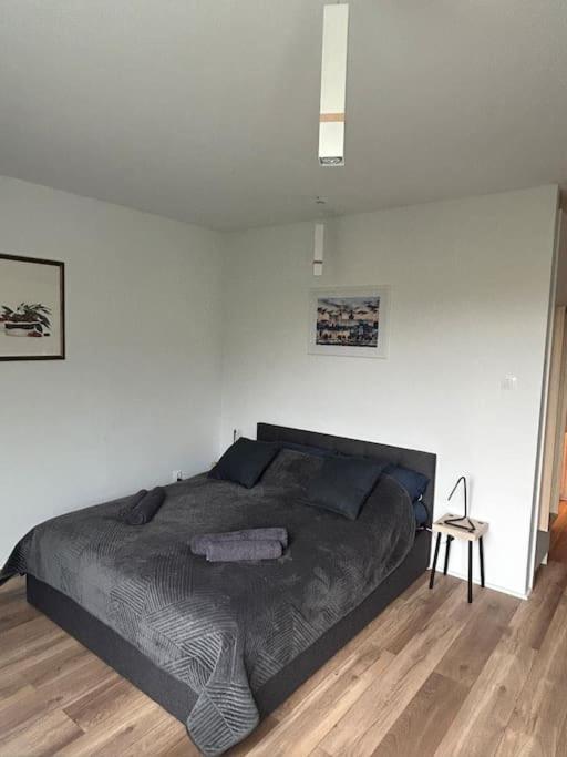 Apartament Stary Szczecin Buitenkant foto
